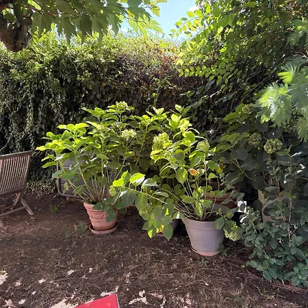 Aux Amelierets B&B Saint-Just (Herault)